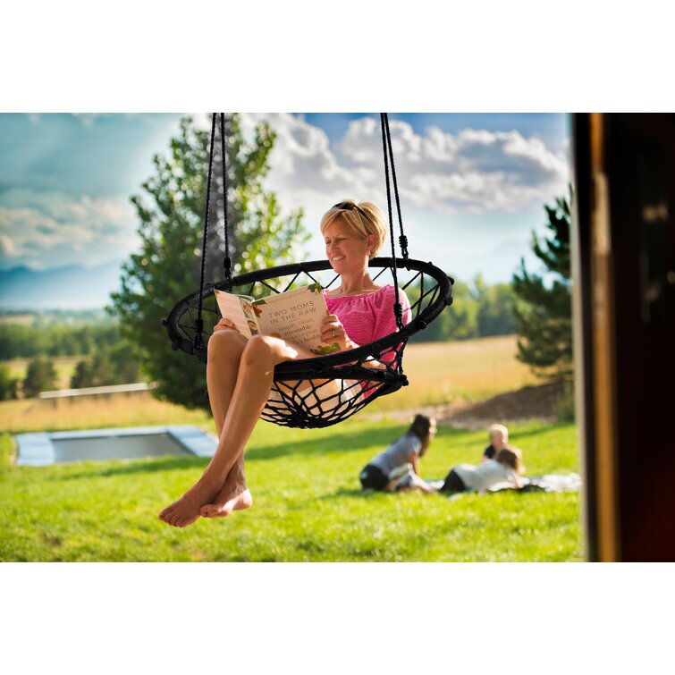 Sky discount chair swing